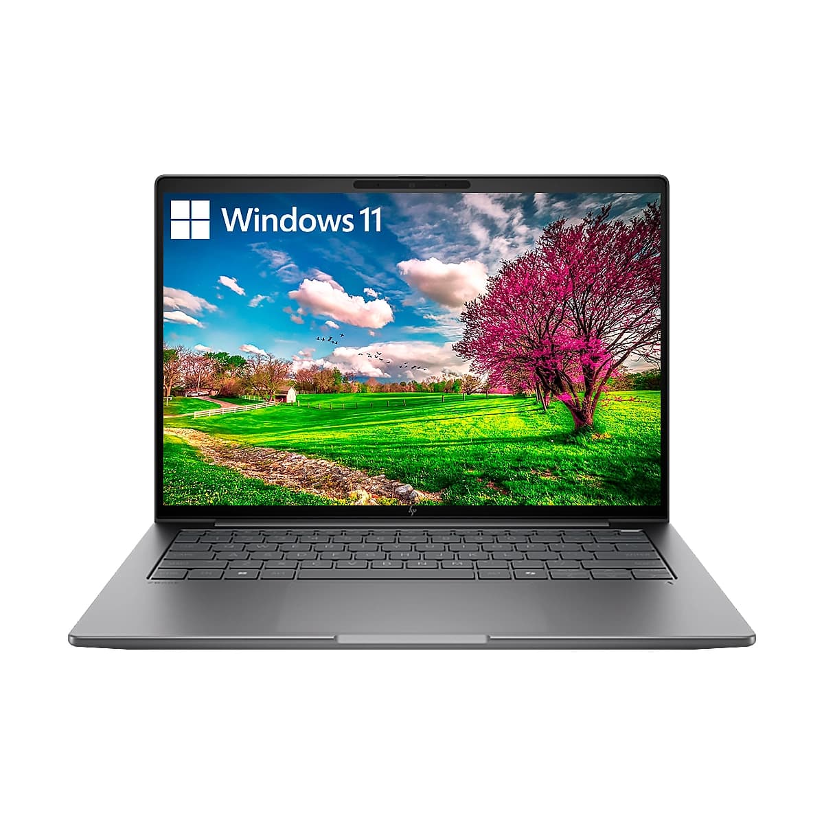 NOT. HP Workstation ZBook 8 G1i Intel Ultra 7 255H 32GB 1TB 14Inch VID-RTX500-4GB W11-Pro Gris — imagen 5
